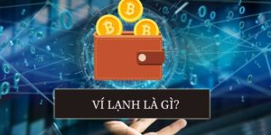 ví lạnh là gì