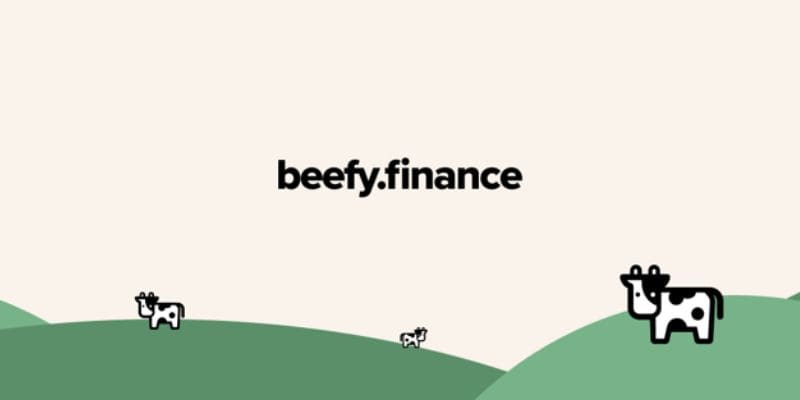 beefy finance là gì